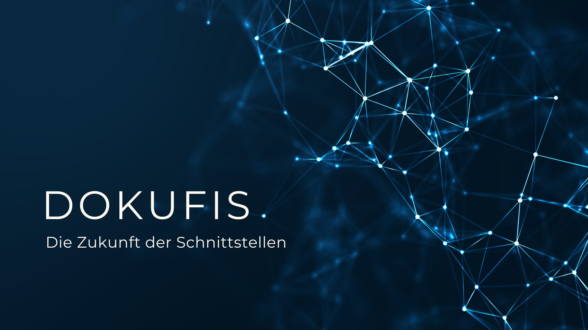DokuFIS